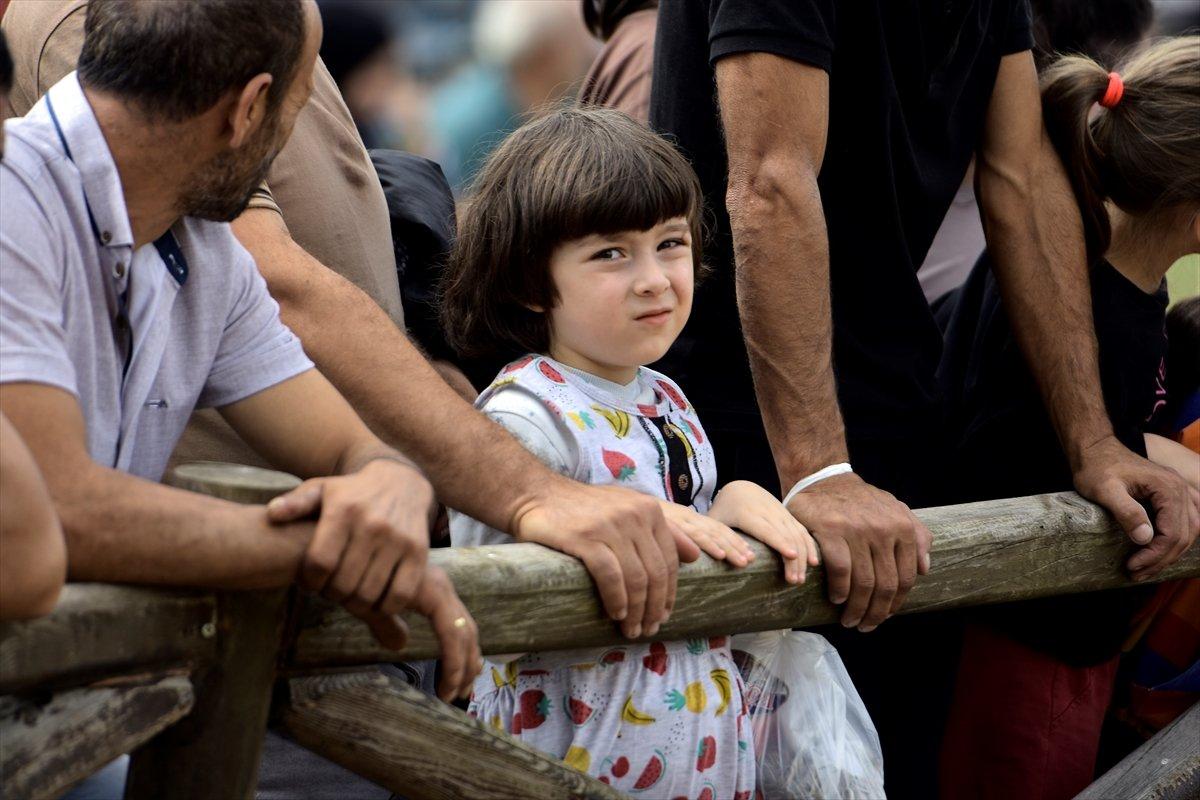 Kocayayla'da boğa güreşi festivali yapıldı