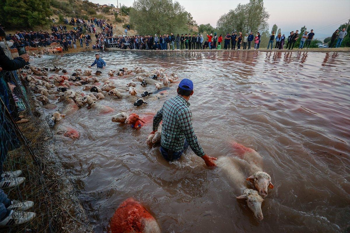 Burdur'da sudan koyun geçirme yarışması