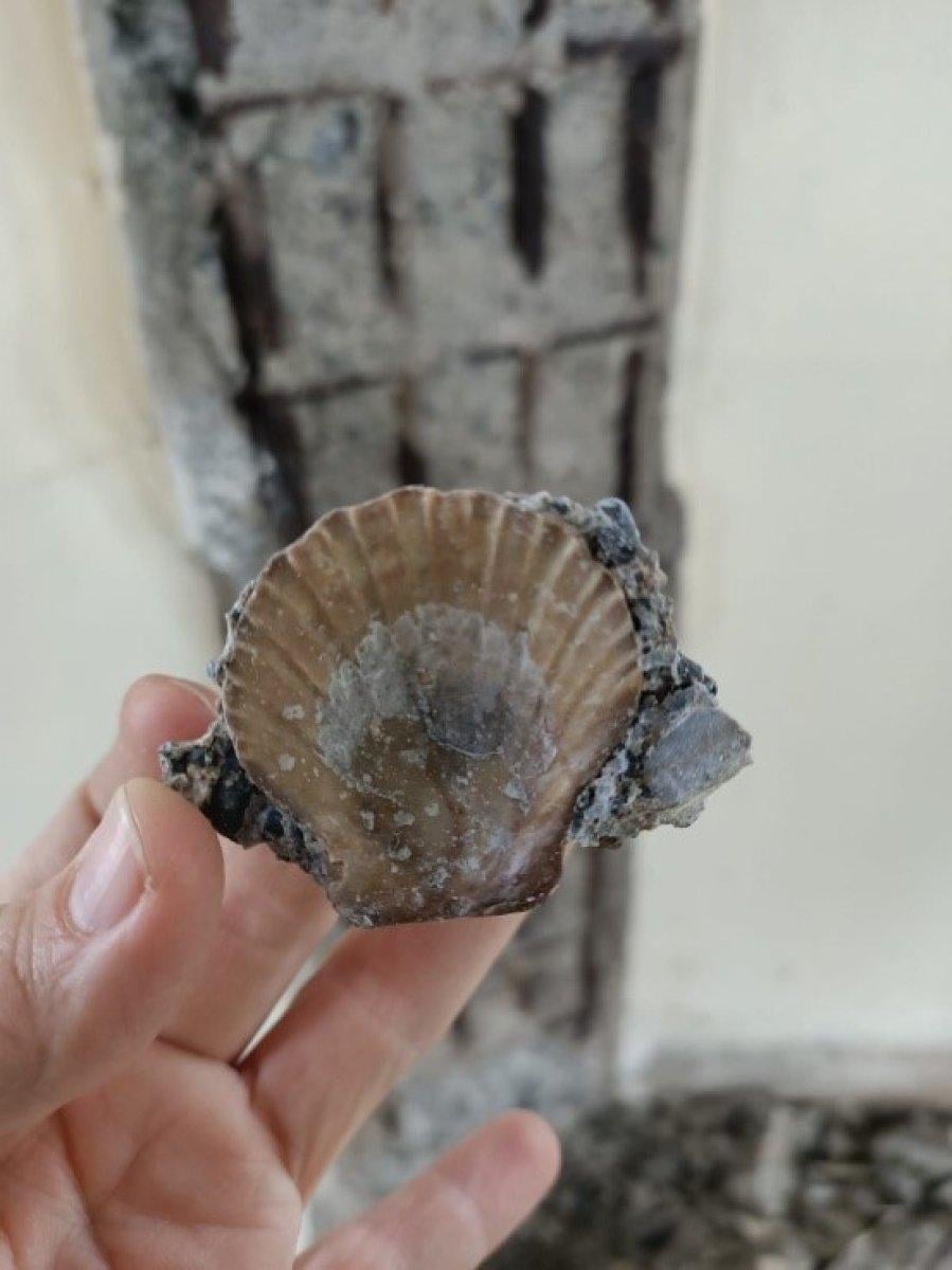 ‘Kız Kulesi yıkıldı’ iddialarına yalanlama