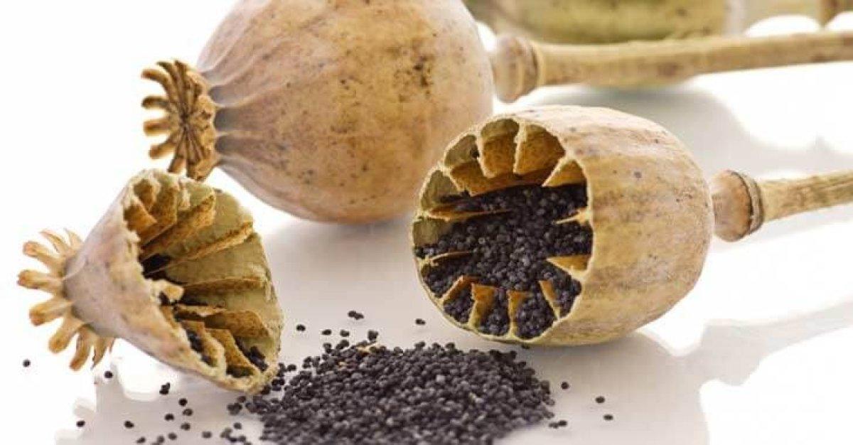 Bel ağrısını ortadan kaldıran 5 mucizevi besin