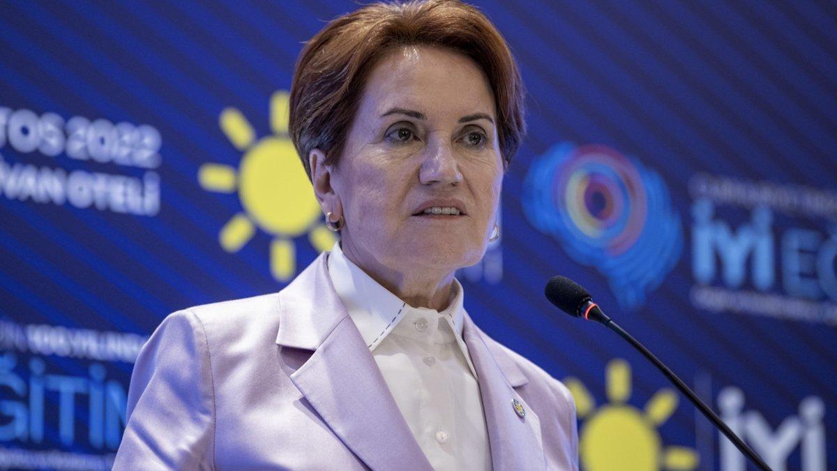 Meral Akşener, Gürsel Tekin'in HDP ile ilgili açıklamasını eleştirdi