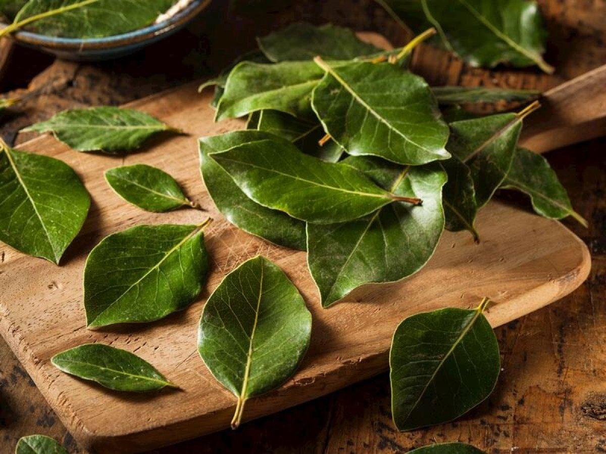 Bel ağrısını ortadan kaldıran 5 mucizevi besin