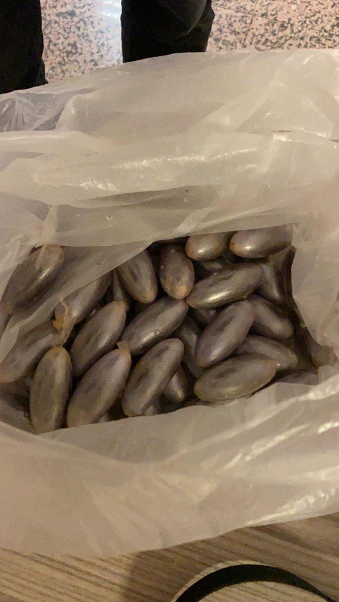 Antalya'da, Faslı yolcunun midesinden 100 kapsül esrar çıktı