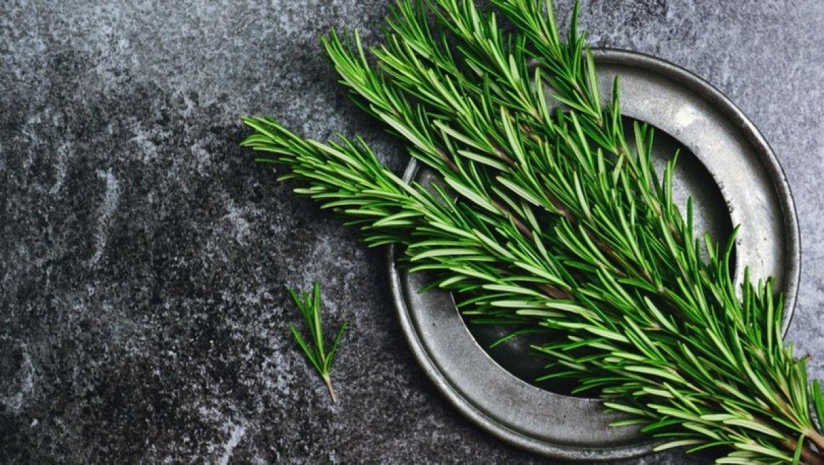 Bel ağrısını ortadan kaldıran 5 mucizevi besin