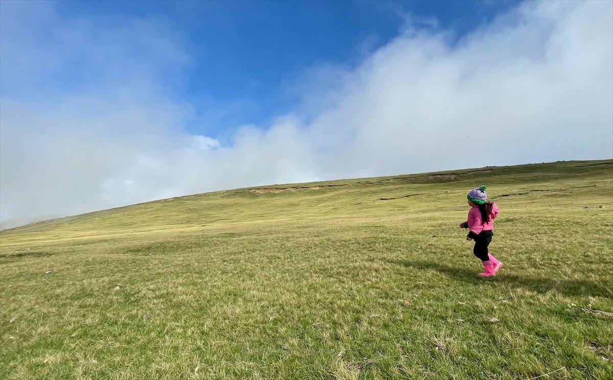 Karadeniz yaylaları sisle kaplandı