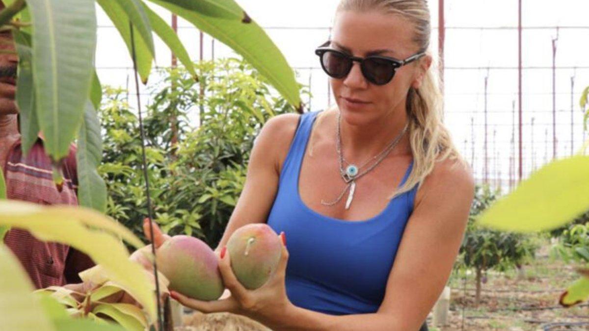 Antalya’da yılın ilk mango hasadı Ivana Sert’ten