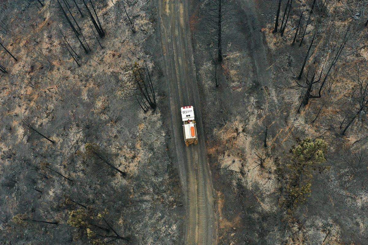 Kaliforniya'da orman yangınları sürüyor: 11 bini aşkın tahliye