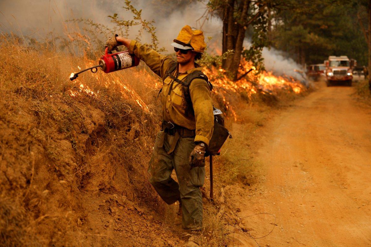 Kaliforniya'da orman yangınları sürüyor: 11 bini aşkın tahliye