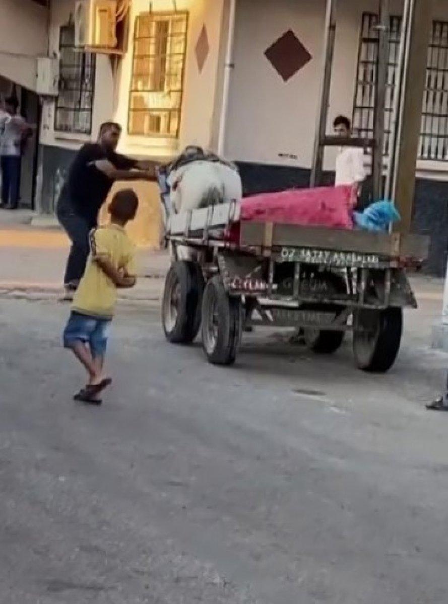 Adana'da bir kişiden ata yumruklu eziyet