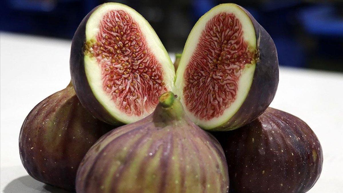 Hamile kalmayı sağlayan 7 mucizevi besin