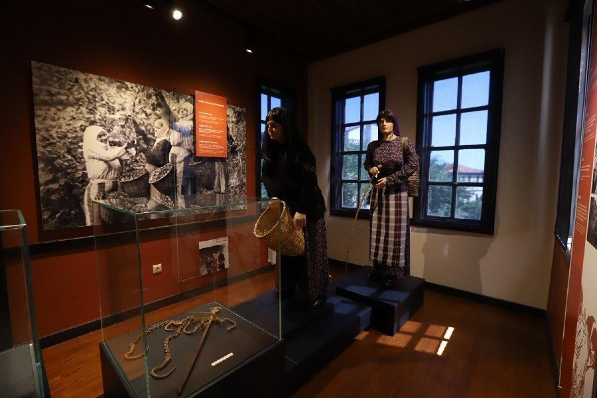 Türkiye’de bir ilk: Fındık müzesi