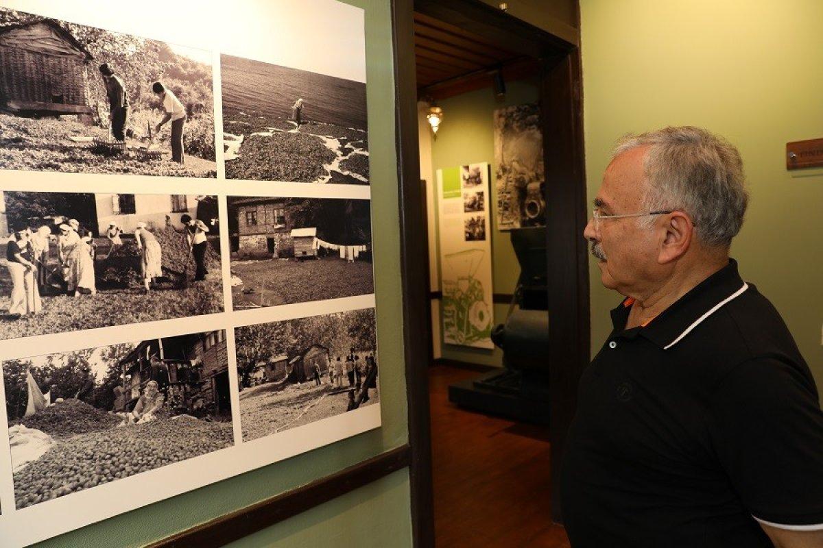 Türkiye’de bir ilk: Fındık müzesi