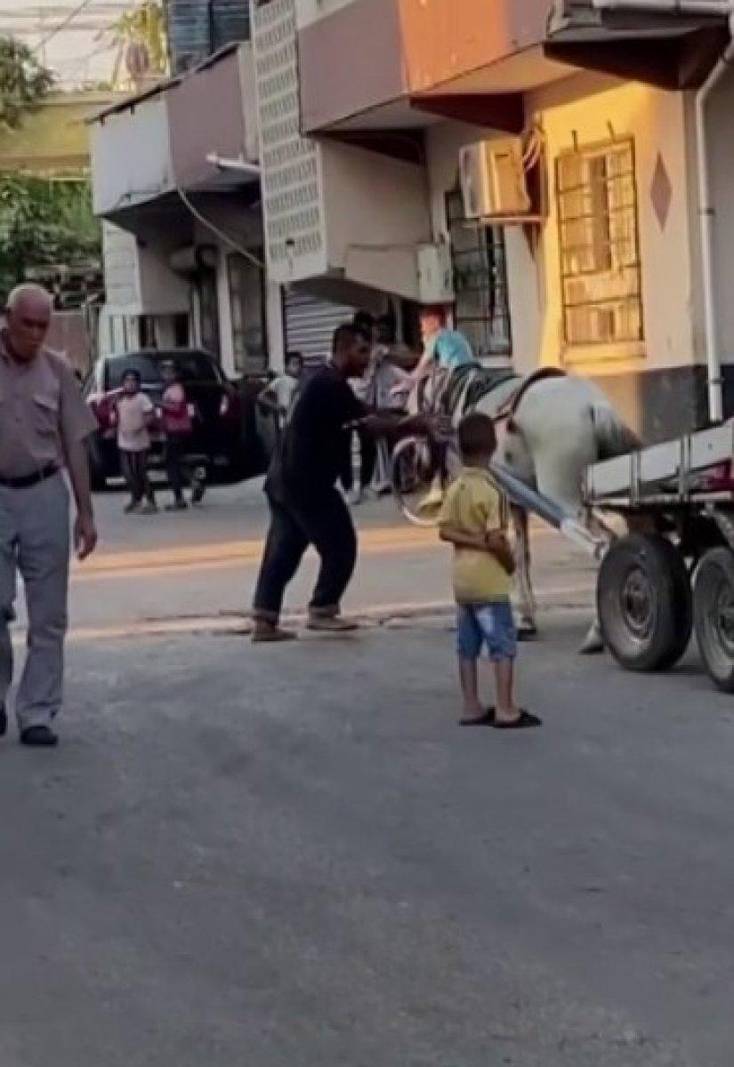 Adana'da bir kişiden ata yumruklu eziyet
