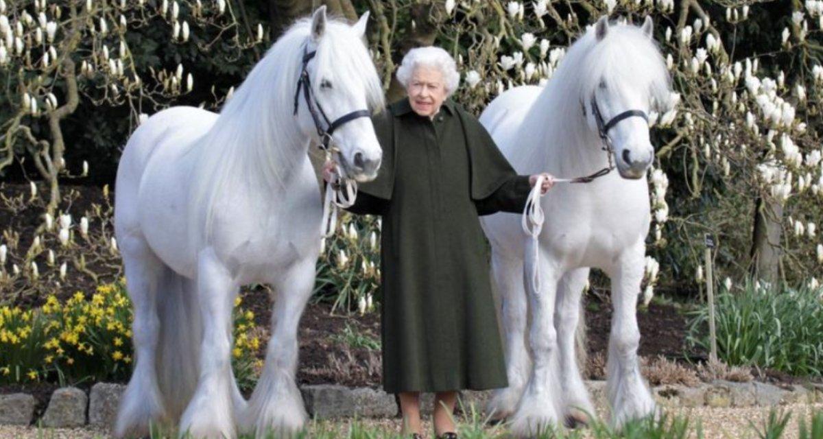 Vakanüvis, İngiltere Kraliçesi II. Elizabeth’in bilinmeyenlerini yazdı