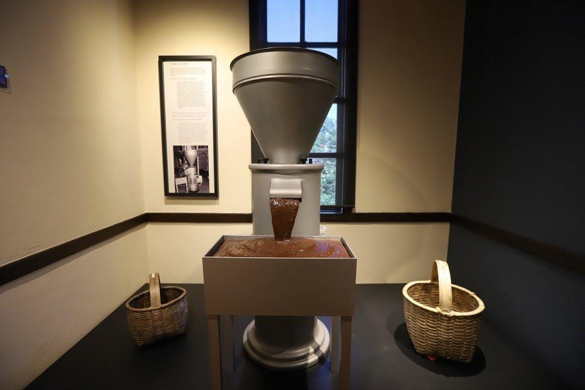 Türkiye’de bir ilk: Fındık müzesi