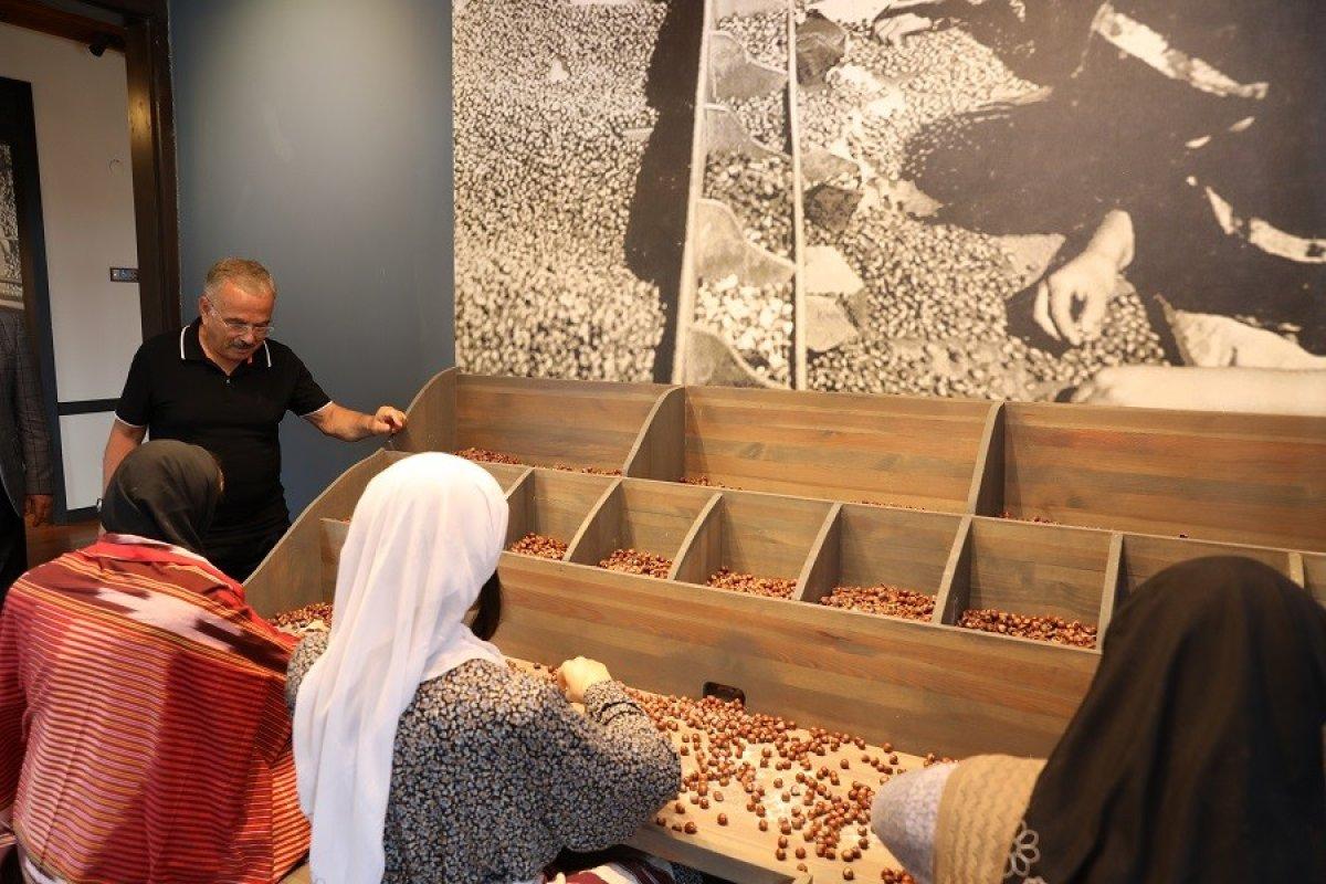 Türkiye’de bir ilk: Fındık müzesi