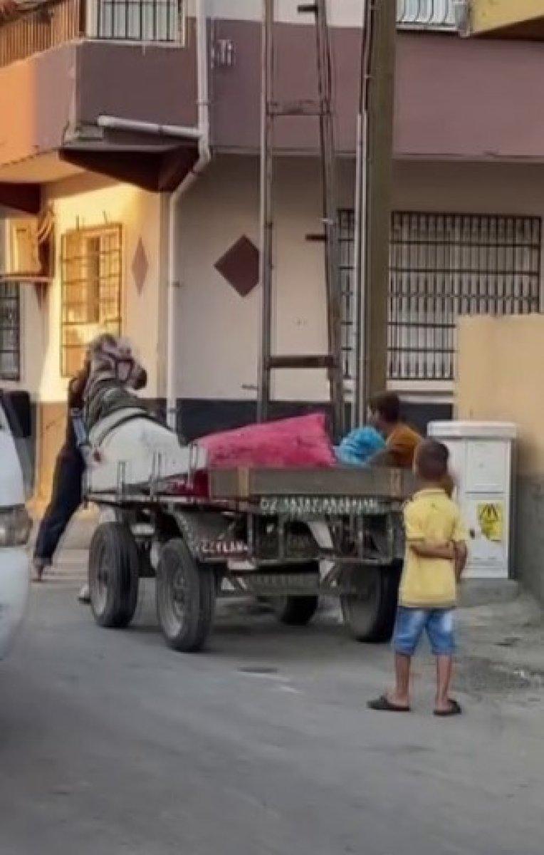 Adana'da bir kişiden ata yumruklu eziyet