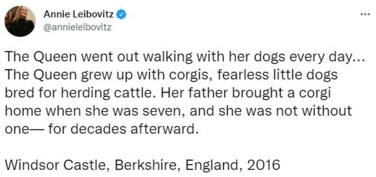 İngiltere'de Kraliçe Elizabeth'in köpeklerinin geleceği konuşuluyor