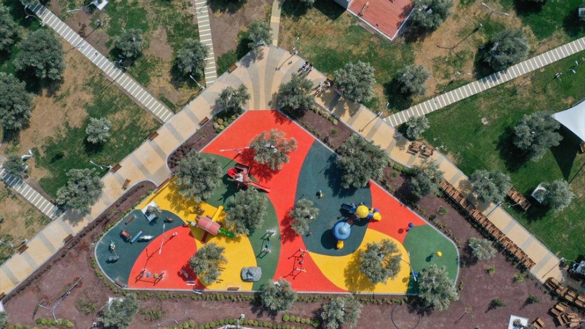 İzmir'de asırlık zeytin ağaçları, 'Zeytinpark' ile korunacak