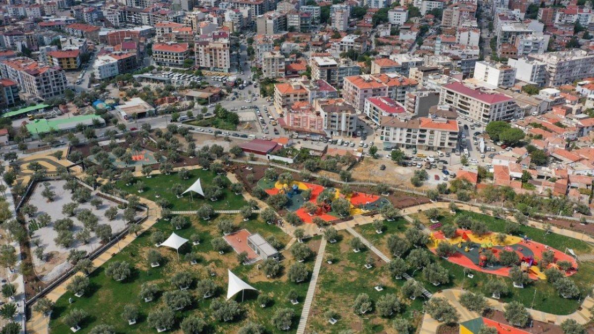 İzmir'de asırlık zeytin ağaçları, 'Zeytinpark' ile korunacak