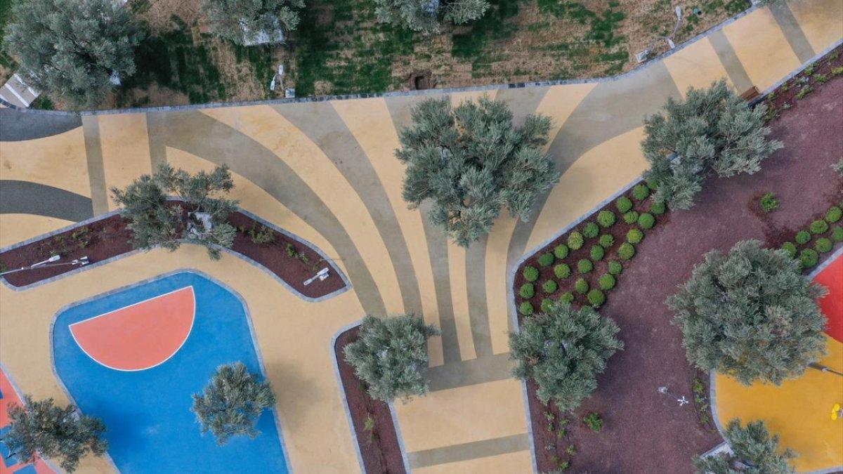 İzmir'de asırlık zeytin ağaçları, 'Zeytinpark' ile korunacak