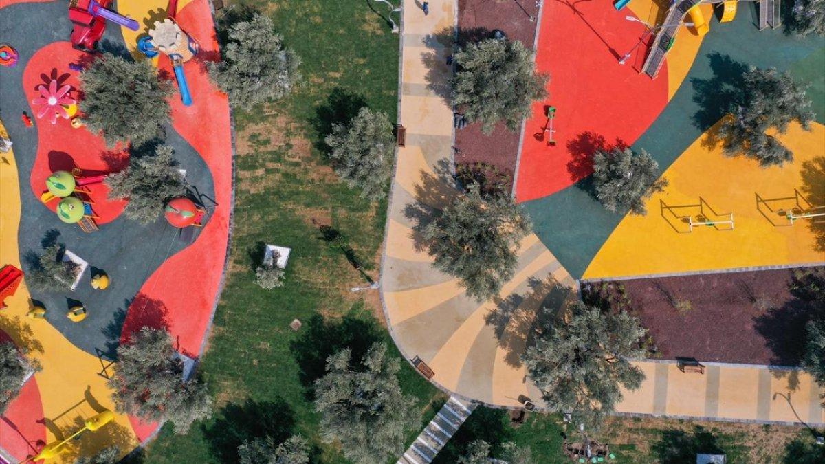 İzmir'de asırlık zeytin ağaçları, 'Zeytinpark' ile korunacak