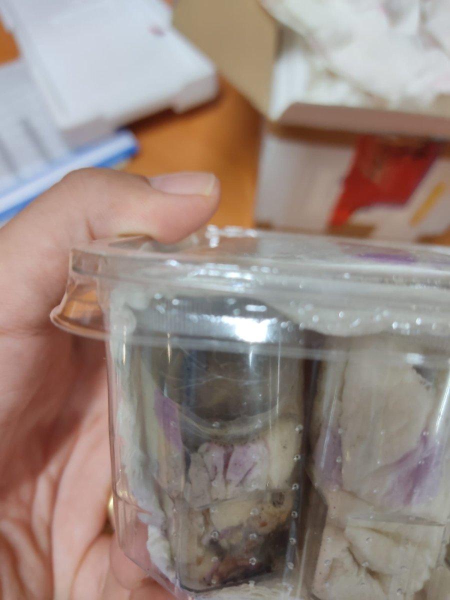 İzmir’de, posta gümrüğündeki gönderiden 26 tüp tarantula çıktı