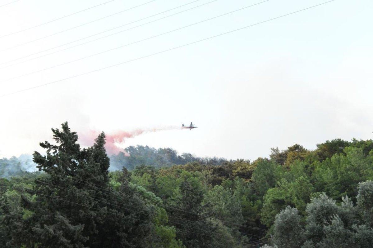 Muğla'nın Ula ilçesinde çıkan orman yangınına havadan müdahale başladı