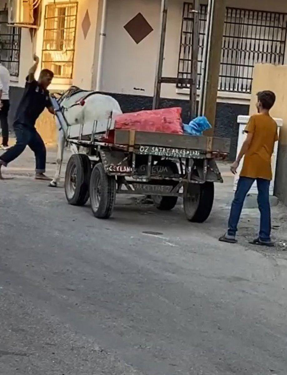 Adana’da atı yumruklayan seyyar satıcı yakalandı