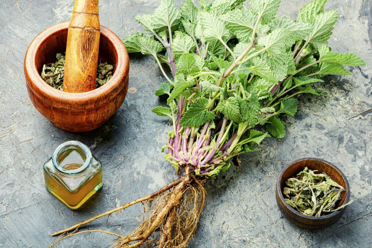 Rahatlatıcı en iyi 7 yağın faydaları ve kullanımları