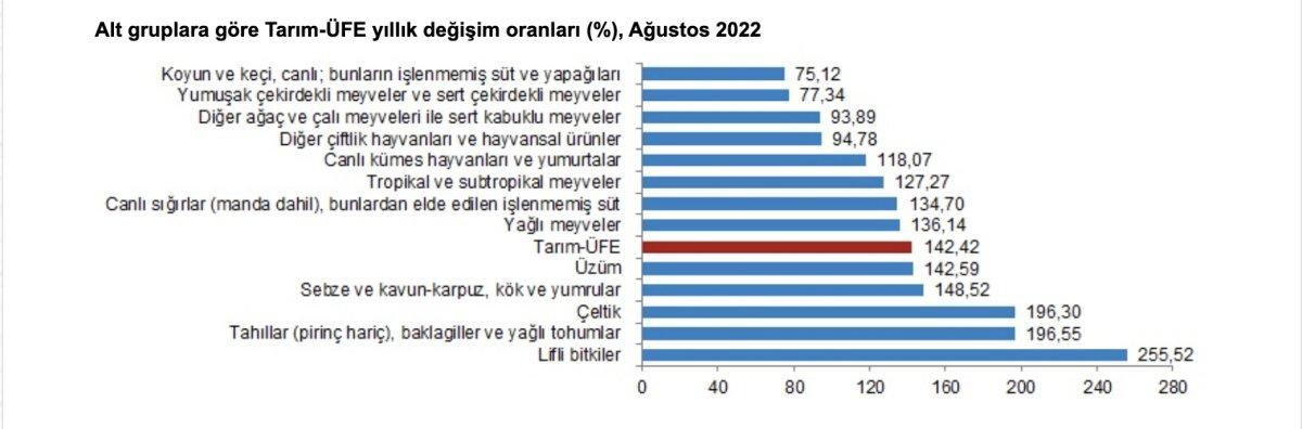 Tarım ÜFE