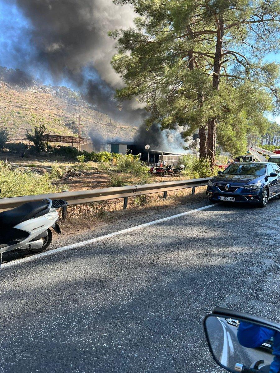 Marmaris'teki yangın ormana sıçramadan kontrol altına alındı