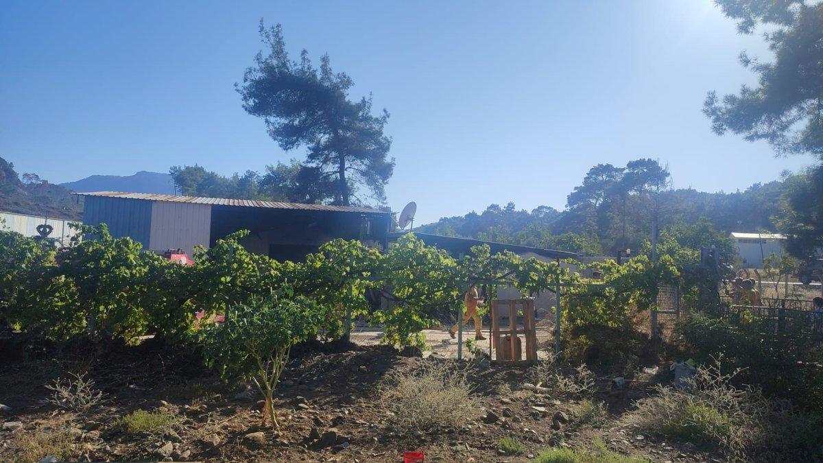 Marmaris'teki yangın ormana sıçramadan kontrol altına alındı