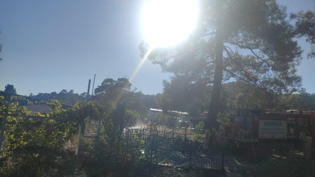 Marmaris'teki yangın ormana sıçramadan kontrol altına alındı