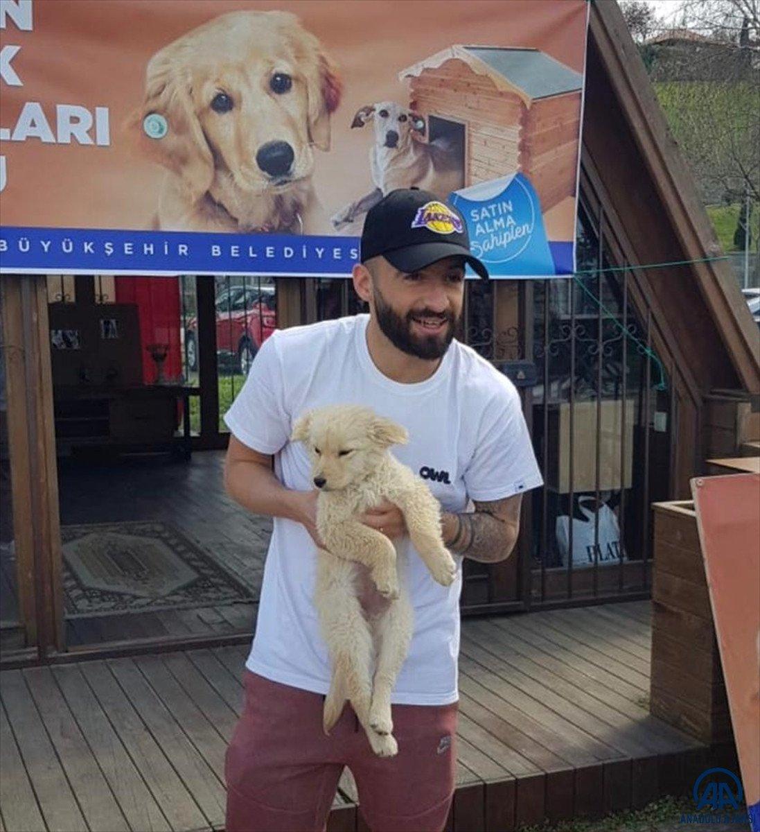 Trabzon'da son bir yılda sahipsiz 3 bin 317 köpek ve bin 332 kedi kısırlaştırıldı