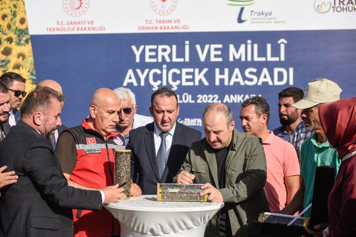Yerli ve milli tohumluk ayçiçeğinde ilk hasat