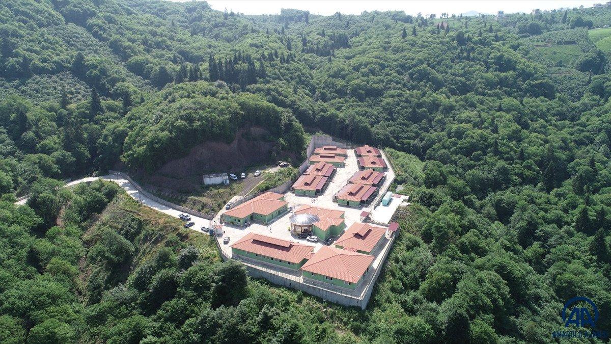 Trabzon'da son bir yılda sahipsiz 3 bin 317 köpek ve bin 332 kedi kısırlaştırıldı