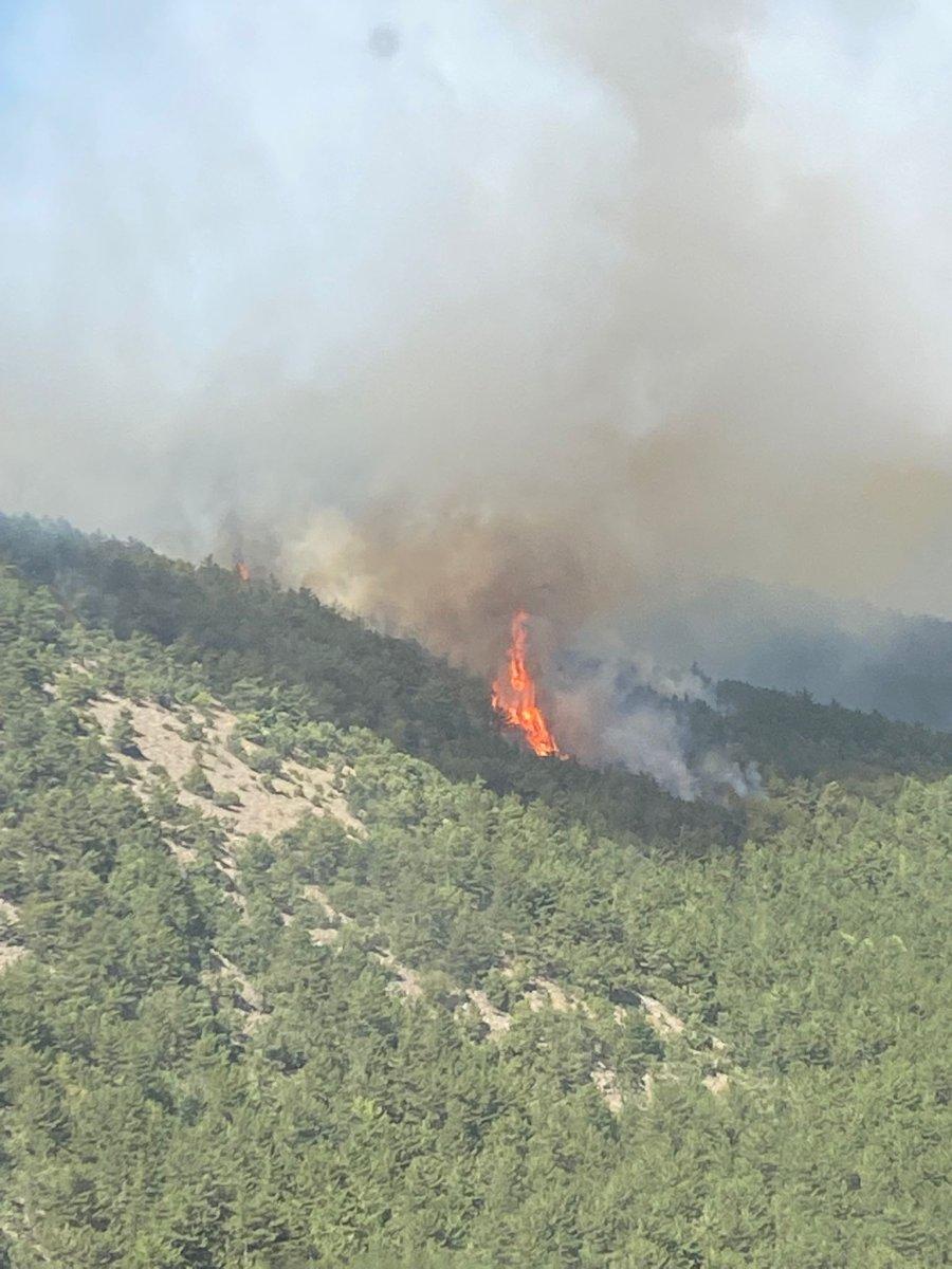 Eskişehir'de orman yangını