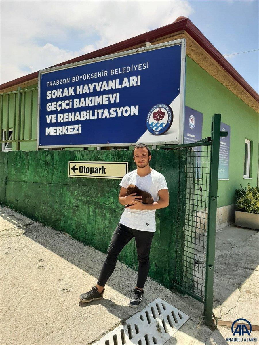 Trabzon'da son bir yılda sahipsiz 3 bin 317 köpek ve bin 332 kedi kısırlaştırıldı