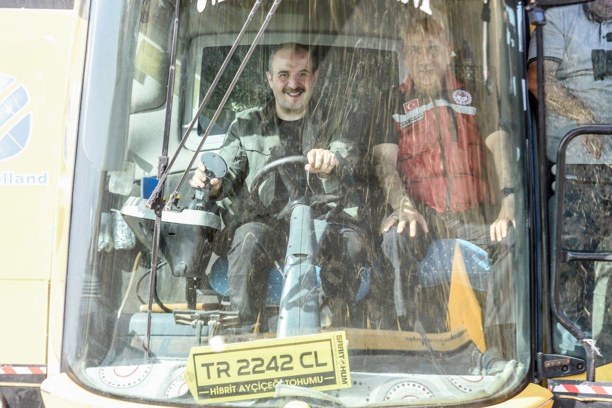 Yerli ve milli tohumluk ayçiçeğinde ilk hasat