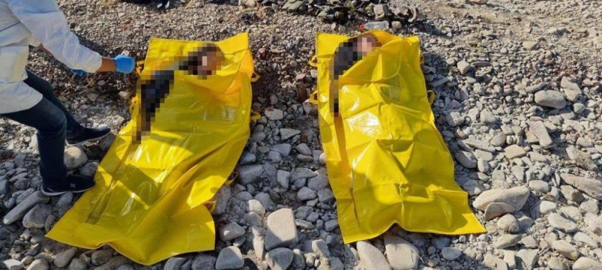 Bakan Soylu: PÖH 2 teröristi etkisiz hale getirdi