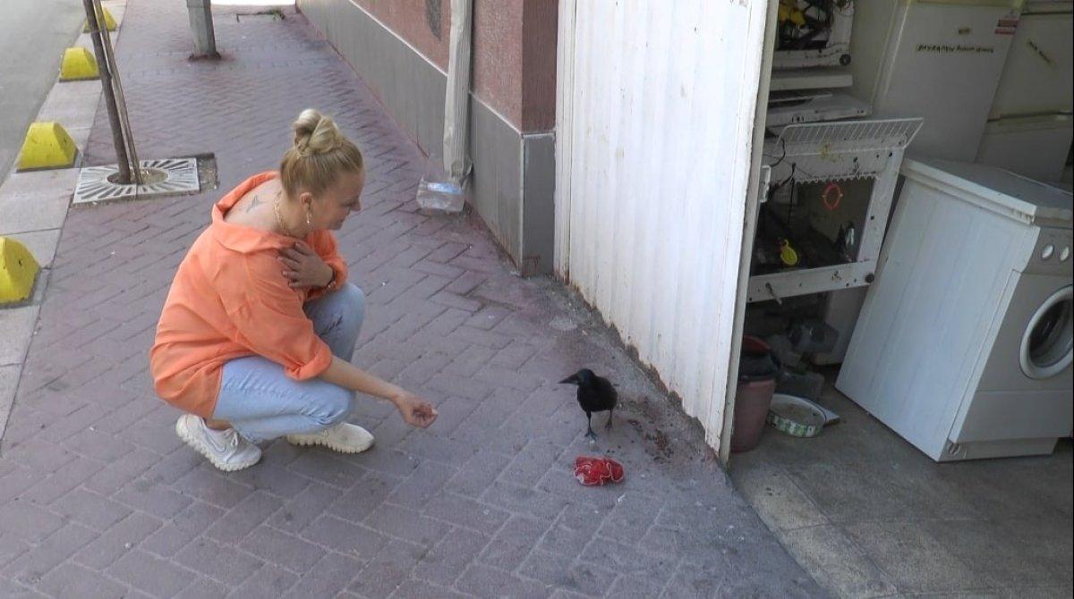 Eskişehir’de karga Şakir'e gözü gibi bakıyor
