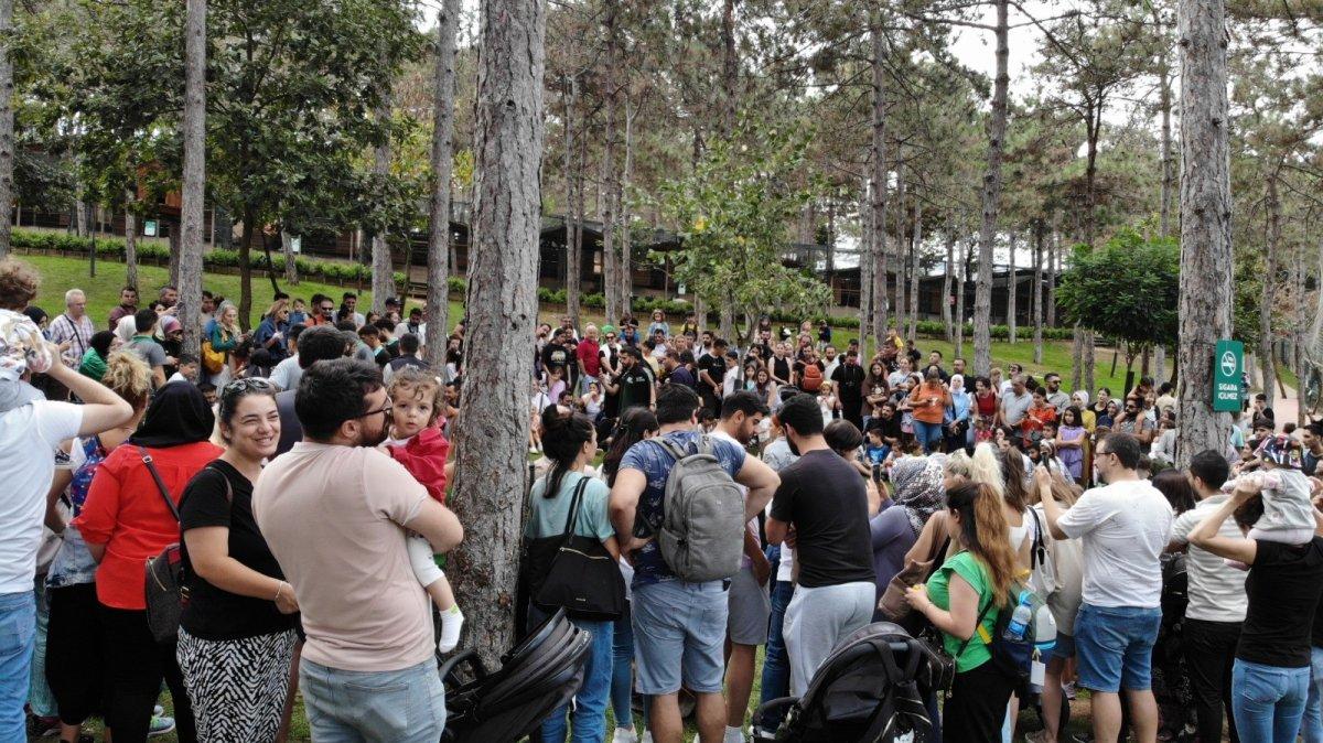 İstanbul'da yavru aslan Alex'in banyo yaptırıldığı anlar ilgiyle izlendi