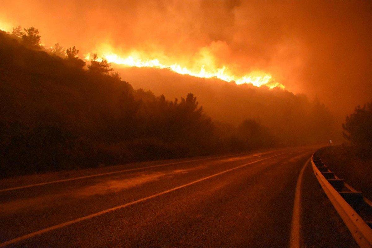İzmir'de 430 hektarlık orman yangınının sanığı istinafta beraat etti
