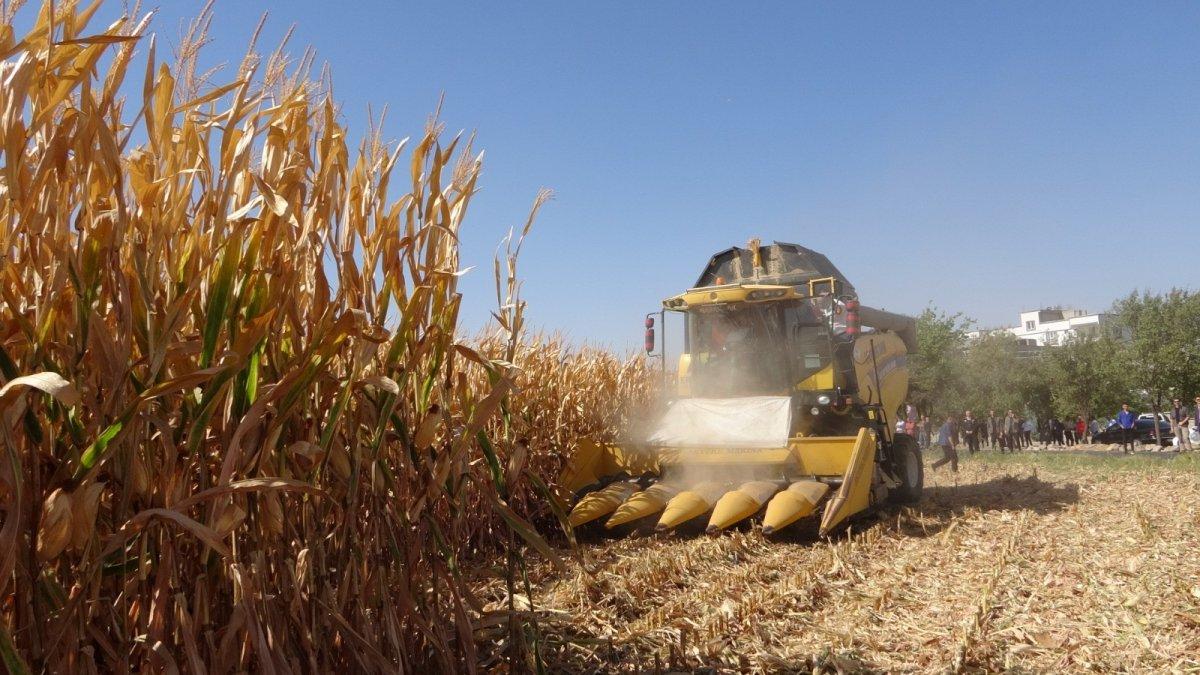 Batman'da, anız yakanlar 5 yıl tarımsal destek alamayacak