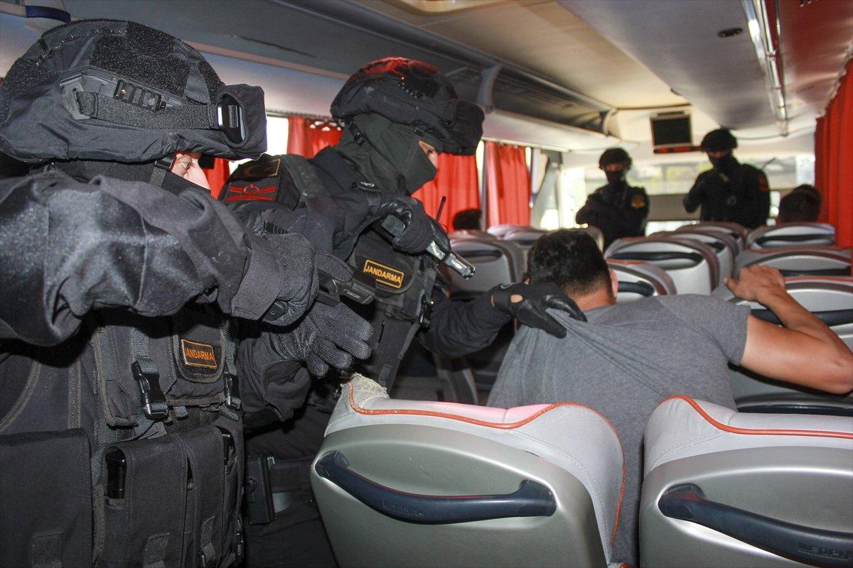 Jandarma köpeklerinin zorlu eğitimi