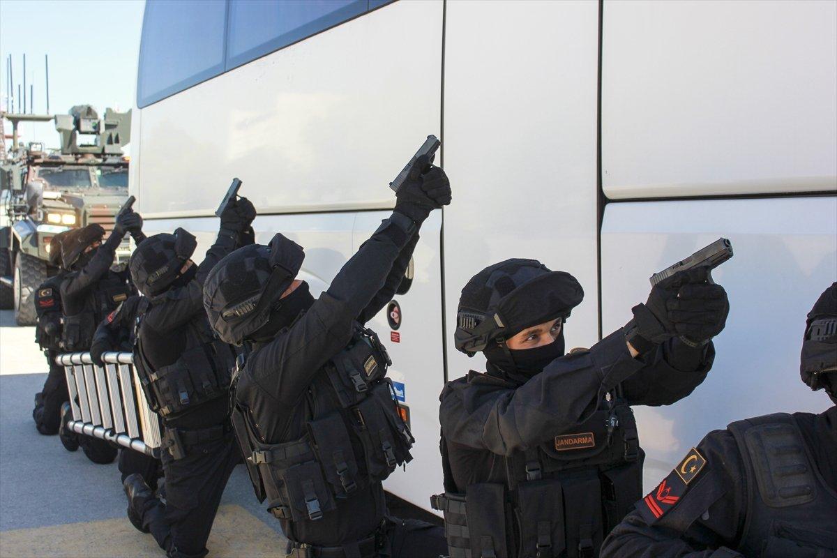 Jandarma köpeklerinin zorlu eğitimi