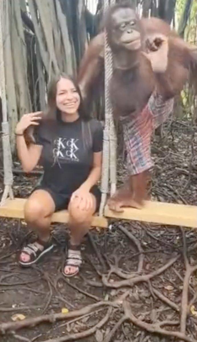 Hayvanat bahçesindeki orangutan, kadın turisti öpücüğe boğdu