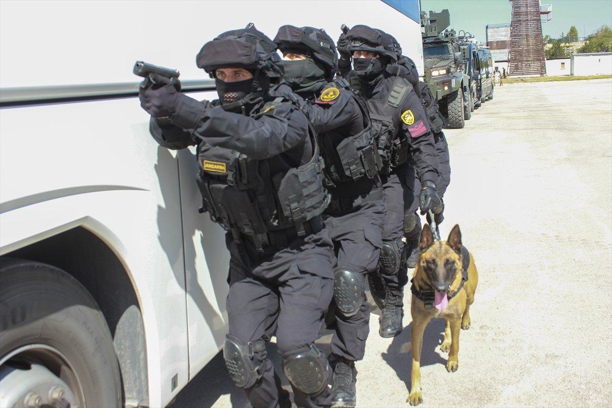 Jandarma köpeklerinin zorlu eğitimi