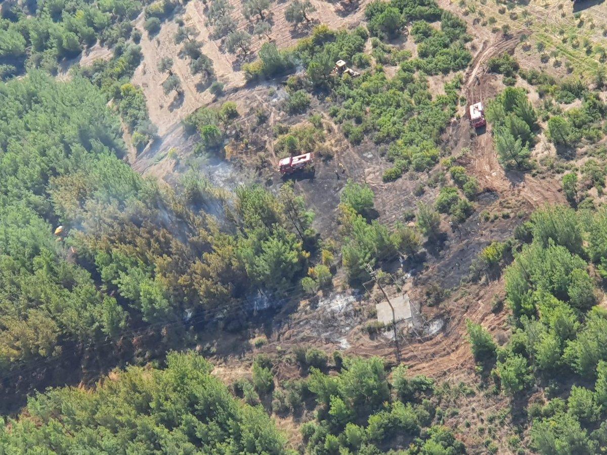 Akhisar'da çıkan orman yangını söndürüldü